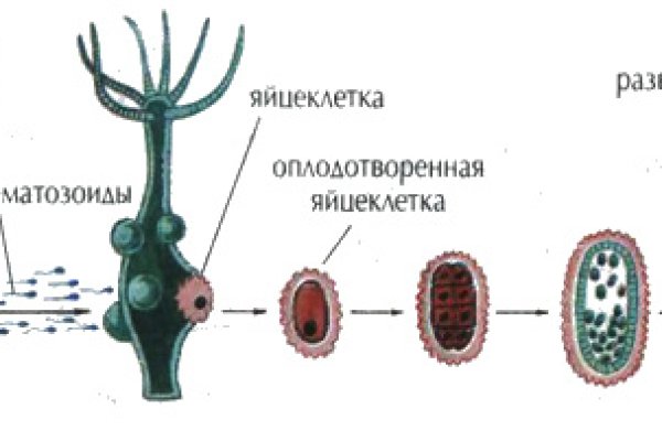 Кракен зайти