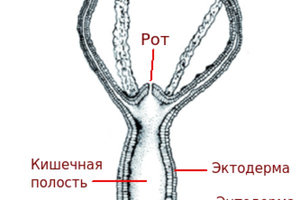 Сайт kraken в tor